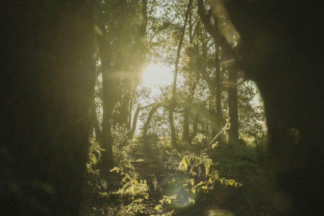A Roma arriva Solár, il day time di Lisergica al Bosco di Alberico