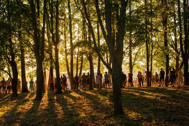 Come i festival si stanno impegnando per un approccio green